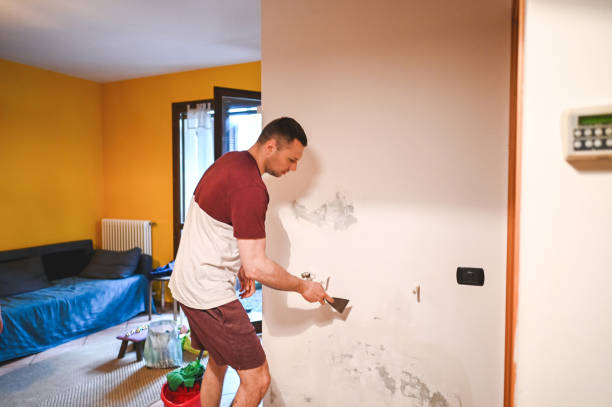 Best Crawl Space Mold Remediation in Morton, WA